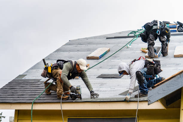 Professional Roofing technician working in Falls City, NE